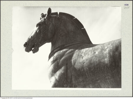 Vorderseite von Böhm [https://www.deutsche-digitale-bibliothek.de/content/lizenzen/rv-ez/] Quadriga, sog. Pferde von San Marco (Cavalli di San Marco) - Aufnahme in der ursprünglichen Aufstellung an der Fassade (erstes Pferd von rechts), bh399131_recto. Foto: Böhm, Osvaldo.