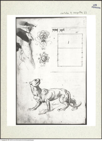 Vorderseite von bh399164_recto