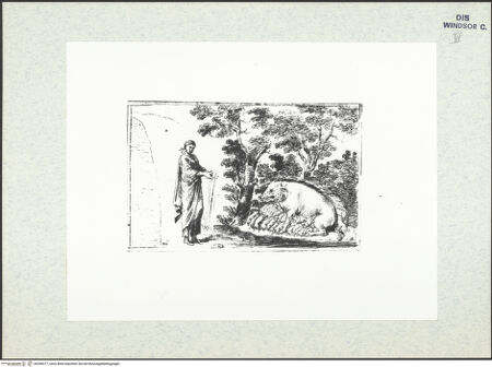 Vorderseite von bh399377_recto