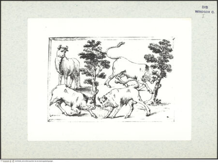 Vorderseite von bh399406_recto