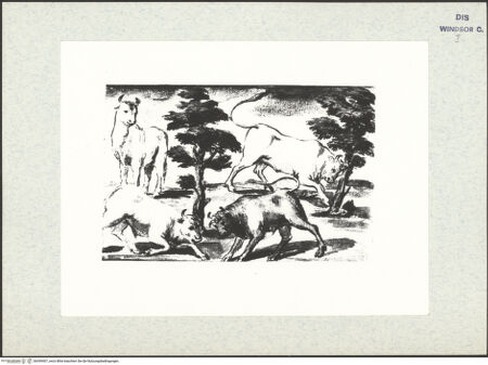 Vorderseite von bh399407_recto