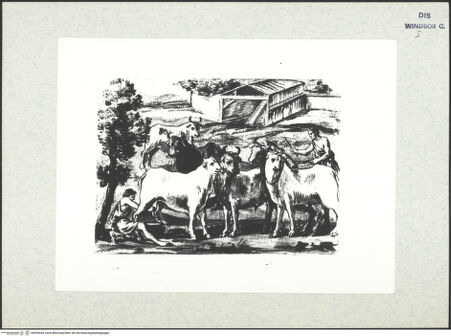 Vorderseite von bh399444_recto