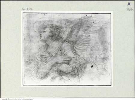 Vorderseite von bh399512_recto