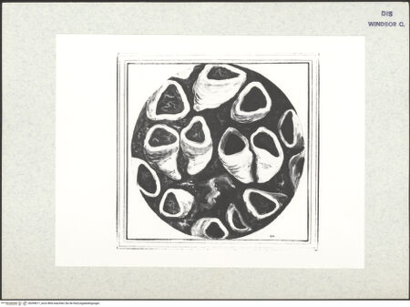 Vorderseite von bh399611_recto