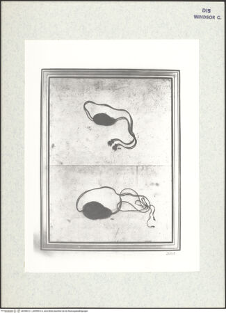 Vorderseite von bh399612-1_bh399612-2_recto