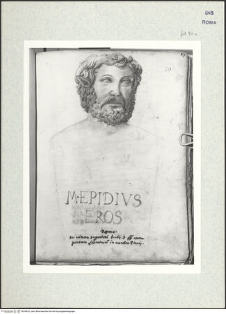 Vorderseite von bh399616_recto