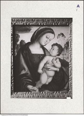 Vorderseite von bh399869_recto