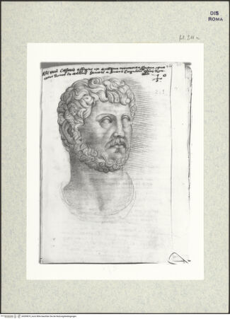 Vorderseite von bh399879_recto