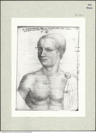 Vorderseite von bh399913_recto