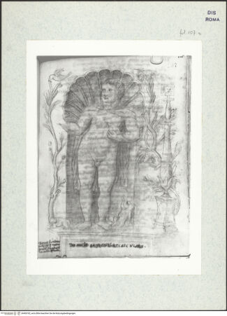 Vorderseite von bh400182_recto