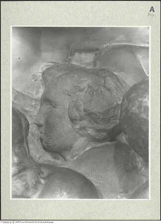 Vorderseite von bh400415_recto