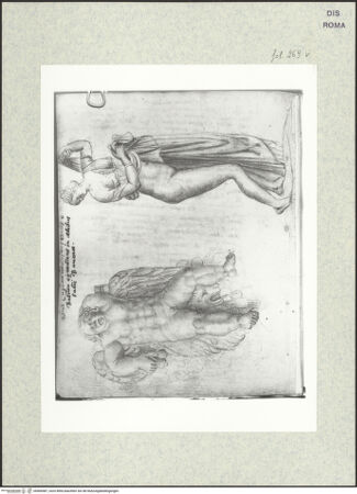 Vorderseite von bh400487_recto