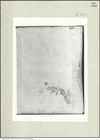 Vorderseite von bh400488_recto