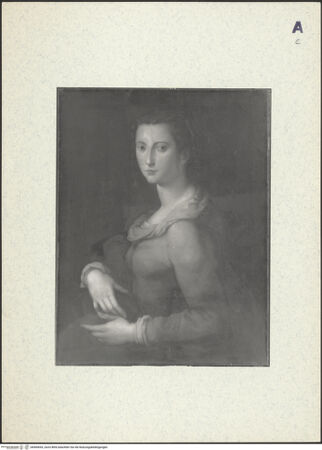 Vorderseite von bh400643_recto