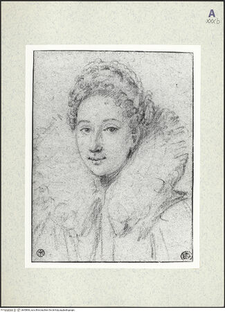 Vorderseite von bh400866_recto