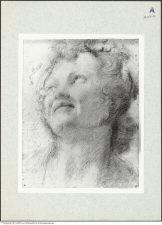 Vorderseite von bh400870_recto