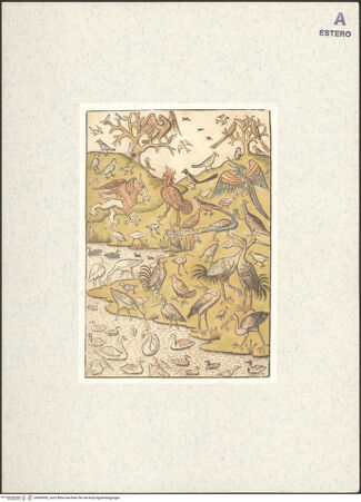 Vorderseite von bh400965_recto