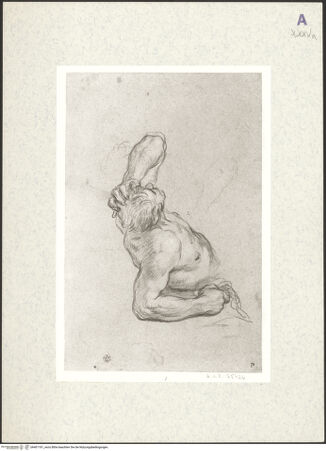 Vorderseite von bh401181_recto