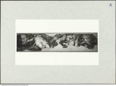 Vorderseite von bh401236_recto