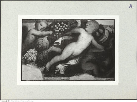 Vorderseite von bh401241_recto