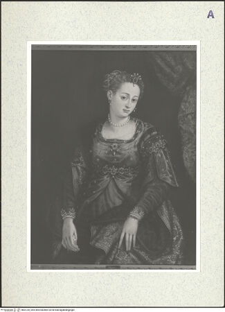 Vorderseite von bh401242_recto