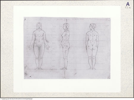 Vorderseite von bh401268_recto