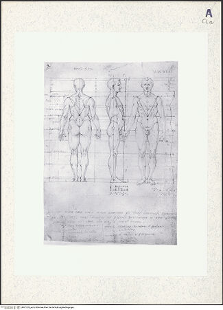 Vorderseite von bh401269_recto