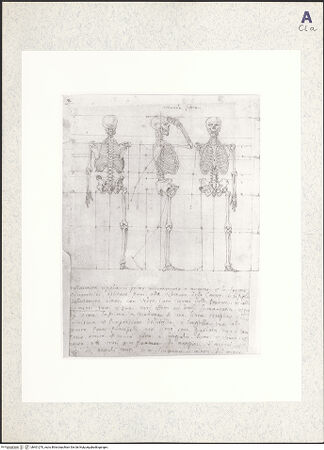 Vorderseite von bh401270_recto