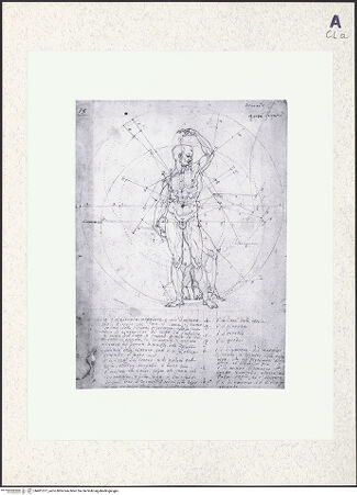 Vorderseite von bh401277_recto