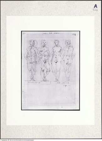 Vorderseite von bh401293_recto