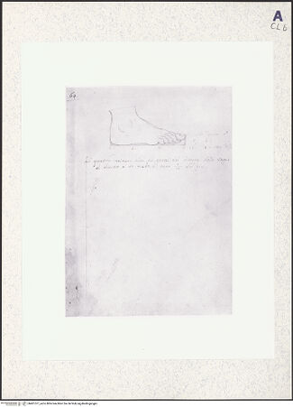 Vorderseite von bh401377_recto