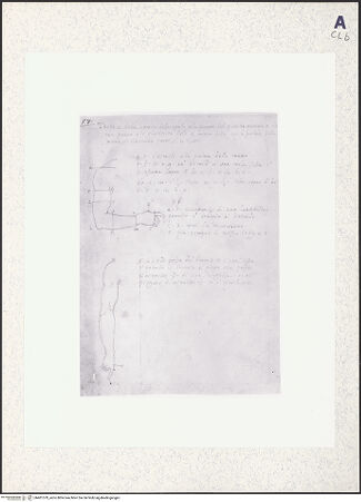 Vorderseite von bh401379_recto