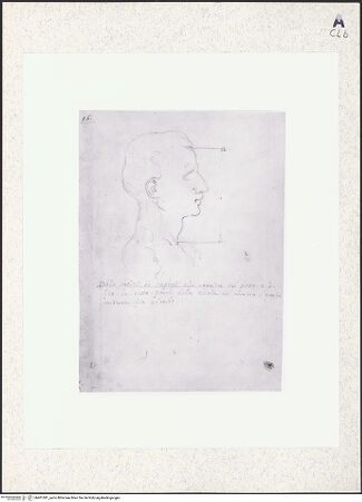 Vorderseite von bh401381_recto