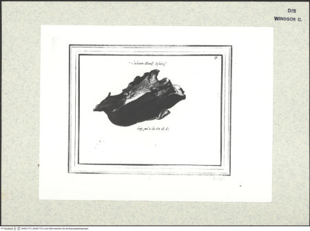 Vorderseite von bh402175-1_bh402175-2_recto