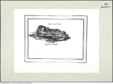 Vorderseite von bh402181-1_bh402181-2_recto