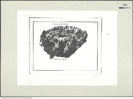 Vorderseite von bh402188_recto