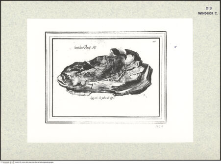 Vorderseite von bh402191_recto