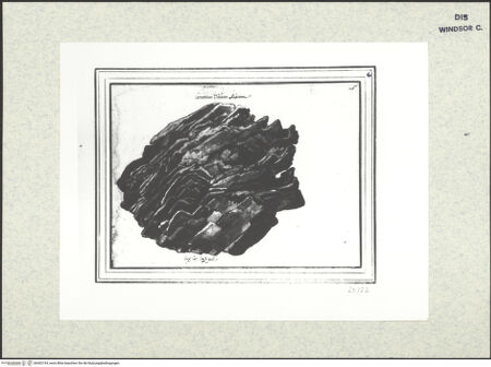 Vorderseite von bh402194_recto