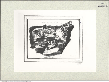 Vorderseite von bh402198-1_bh402198-2_recto