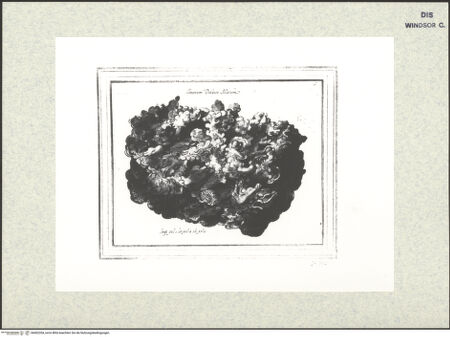 Vorderseite von bh402204_recto