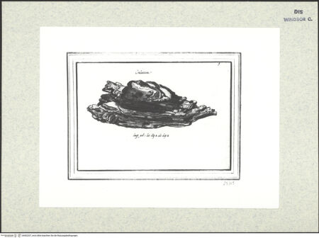 Vorderseite von bh402207_recto