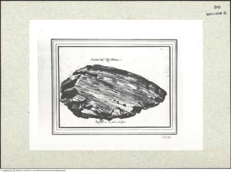 Vorderseite von bh402210-1_bh402210-2_recto