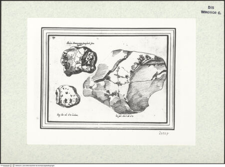 Vorderseite von bh402231_recto
