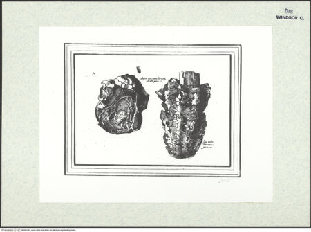 Vorderseite von bh402232_recto