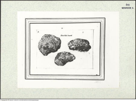 Vorderseite von bh402233-1_bh402233-2_recto