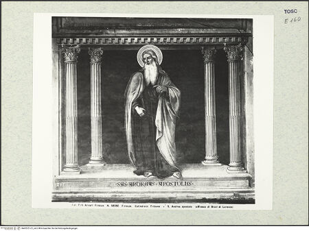 Vorderseite von bh402251-01_recto