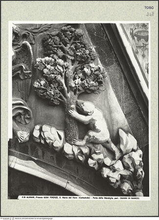 Vorderseite von Alinari [https://www.deutsche-digitale-bibliothek.de/content/lizenzen/rv-ez/] Porta della MandorlaHimmelfahrt Mariens und Gürtelspende - Detail: Bär und Baum aus dem rechten Zwickel, bh402254_recto. Foto.