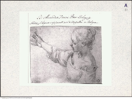 Vorderseite von bh402362_recto