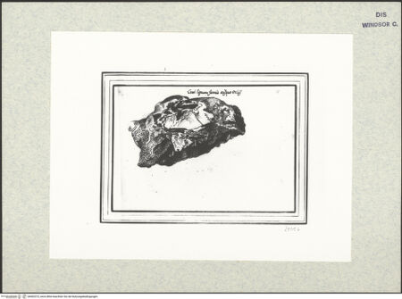 Vorderseite von bh402372_recto