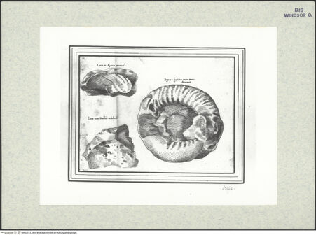 Vorderseite von bh402373_recto